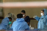 Nipha virus in hyderabad, Hyderabad virus, nipah virus alerts hyderabad with symptoms from two suspected victims, Nipah virus