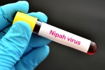 Nipah Virus, Nipah Virus symptoms, nipah virus is back again two deaths registered, Us department of state