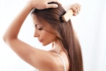 Healthy Hair breaking, Healthy Hair nutritional food, nutrition tips for a healthy hair, Hair care