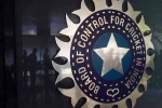 World Cup 2027 India Probables finalized, Team India, odi world cup 2027 probables decided by bcci, Hardik pandya