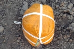 Amritsar, Pakistani Drone new updates, pakistani drone was seized in amristar for smuggling 5 5kg heroin, Bsf