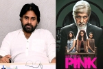 Pawan Kalyan next movie, Pawan Kalyan in Pink, powerstar in talks for pink remake, Pink remake