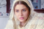 Phillauri budget, Phillauri news, phillauri trailer talk, Nh10
