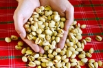 Pistachios updates, Pistachios updates, pistachios are a perfect protein snack, Catherine