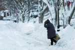 polar vortex forecast, Midwest, polar vortex extreme colds hits u s midwest 21 killed, National weather service