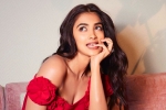 Pooja Hegde updates, Pooja Hegde updates, pooja hegde in talks for a biggie, Siddharth roy kapur Pooja Hegde updates, Pooja Hegde updates, pooja hegde in talks for a biggie, Siddharth roy kapur