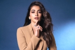Pooja Hegde lineup, Pooja Hegde 2024, pooja hegde lines up bollywood films, Bollywood film