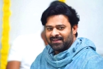 UV Creations, Pooja Hegde, prabhas jaan delayed further, Weightloss