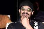 Prabhas and Maruthi Film new updates, People Media Factory, prabhas next film launched, Raja deluxe
