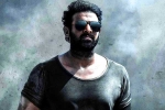 Prashanth Neel, Prabhas updates, prabhas salaar to have malayalam star, Shruthi haasan