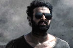 Prabhas next film, Prabhas six pack look, prabhas to showcase his abs in salaar, Six pack