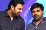 Prabhas and Maruthi film, Prabhas and Maruthi film release news, new title for prabhas and maruthi film, Nidhhi agerwal