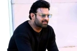 Prabhas25 updates, Radhe Shyam, prabhas to offer a new treat for his fans, Prabhas25