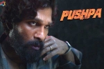 Allu Arjun Pushpa, Allu Arjun Pushpa movie, pushpa to be released in two installments, Puspha