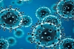 USA, R.1 Coronavirus, r 1 variant of coronavirus traced in 35 countries, Coronavirus symptoms