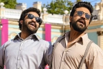 RRR Alia Bhatt, RRR, rrr 17 days total collections, Olivia morris