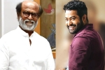 Kannada Rajyotsava, Rajinikanth and NTR updates, rajinikanth and ntr coming for kannada rajyotsava, Puneeth rajkumar