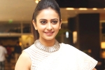 Rakul Preet Singh news, Harish Shankar, rakul preet s multi starrer, Spyder