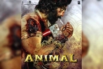 Ranbir Kapoor Animal release updates, Ranbir Kapoor Animal new release date, ranbir kapoor s animal updates, Arjun reddy