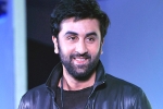 Anushka Sharma, Ranbir Kapoor new film, ranbir kapoor s cameo in srk s next, Ae dil hai mushkil Anushka Sharma, Ranbir Kapoor new film, ranbir kapoor s cameo in srk s next, Ae dil hai mushkil