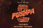 Sukumar, Pushpa: The Rule updates, pushpa the rule no change in release, Flu