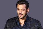 salman khan wife, salman khan wiki, audience s love respect matter more than stardom salman khan, Ameesha patel