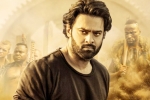 Saaho news, Saaho latest, saaho first week telugu collections, Evelyn sharma
