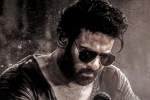 Prithviraj Sukumaran, Salaar 2 business, new update from salaar 2, Prashanth neel