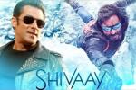 Salman Khan, Salman Khan updates, salman khan to promote shivaay, Big boss