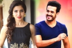 Samantha upcoming release, Samantha news, samantha and akhil to clash in august, Bollywood films