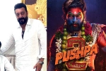 Pushpa: The Rule Allu Arjun, Pushpa: The Rule release news, sanjay dutt s surprise in pushpa the rule, Rashmika mandanna