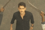 Sarileru Neekevvaru news, Sarileru Neekevvaru budget, mahesh babu s sarileru neekevvaru trailer review, Sarileru neekevvaru trailer