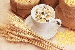 eating oats during Sawan Somvar Vrat, eating oats during Sawan Somvar Vrat, sawan somvar vrat here s why you shouldn t eat oats during this holy vrat, Carbs