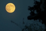 Supermoon 2025 decoded, Supermoon 2025 breaking, science behind supermoon explained, Richard yu