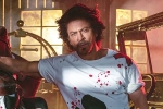 King, Shah Rukh Khan upcoming, shah rukh khan to play a don in king, Siddharth anand