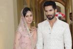 Shahid Kapoor, Shahid Kapoor baby, shahid kapoor s baby not named yet, Mira rajput