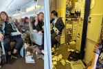 Singapore Airlines breaking, Singapore Airlines from London, one dead and 30 injured in singapore airlines turbulence horror, Singapore airlines turbulence