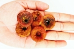 Soaked Anjeer for health, Soaked Anjeer latest breaking, can you take soaked anjeer every day, Fibre