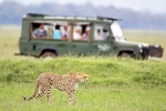 South African Safari Trip total video, South African Safari Trip, how to plan your south african safari trip, Erra b