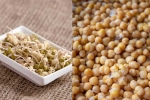 Sprouts vs Boiled Chana breaking, Sprouts vs Boiled Chana weight loss, sprouts vs boiled chana for weight loss, Quality