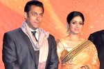 Salman Khan news, Sridevi, sridevi to work with salman khan, English vinglish Salman Khan news, Sridevi, sridevi to work with salman khan, English vinglish