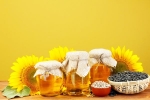 Sunflower Oil doctors, Sunflower Oil latest, long term effects of consuming sunflower oil on heart health, Diets