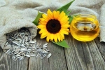 Sunflower seeds breaking, Sunflower seeds health, sunflower seeds and their nutritional benefits, Sunflower seeds