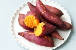 Sweet Potatoes latest breaking, Sweet Potatoes breaking, delicious ways to add sweet potatoes to your diet, Lunch