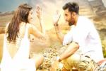 Tamasha talk, Tamasha collections, tamasha three days collections, Bombay velvet