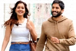 Naga Chaitanya, Naga Chaitanya movie updates, no buzz for naga chaitanya s thank you, Rashi khanna