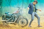Raja Ravi new movie, Raja Ravi latest, ravi teja s touch chesi chudu, Bengal tiger