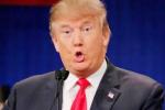 Pune, Donald Trump, donald trump s investments in india to impact us foreign policy, Discrepancies