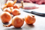 Raw Onion, Raw Onion Vs Metformin latest, type 2 diabetes is raw onion better than metformin, Animal