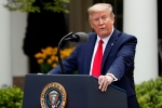 peak, coronavirus, u s has rode over the peak of new coronavirus cases donald trump, Dinner party